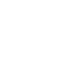 voicegame