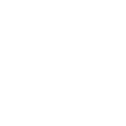statistics